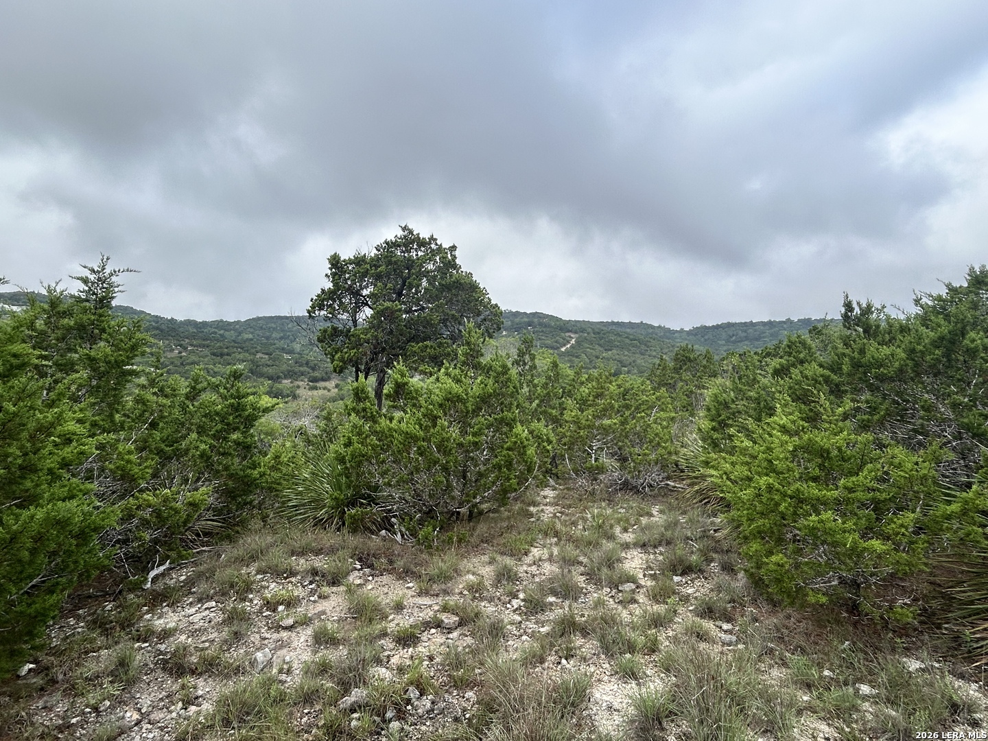 239 Estancia Lane Boerne TX 78006