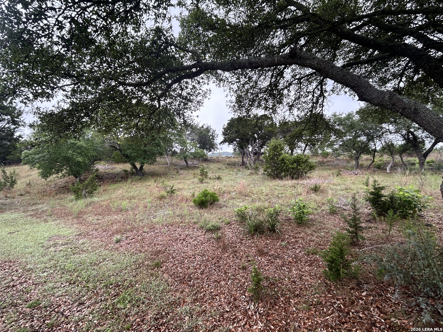 239 Estancia Lane Boerne TX 78006