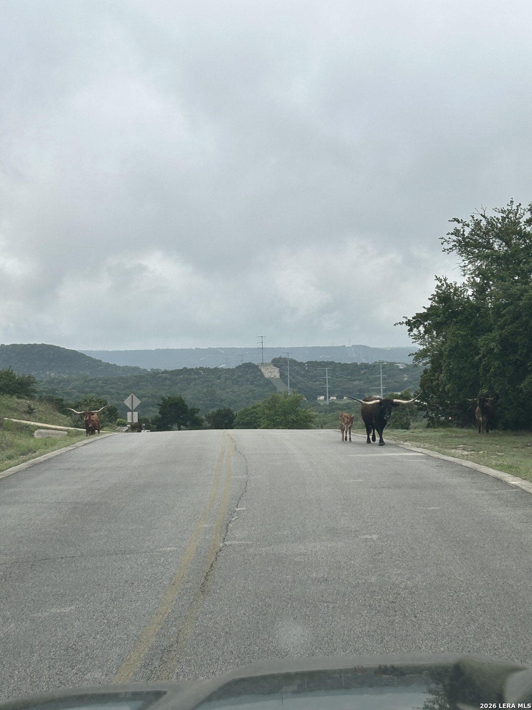 239 Estancia Lane Boerne TX 78006