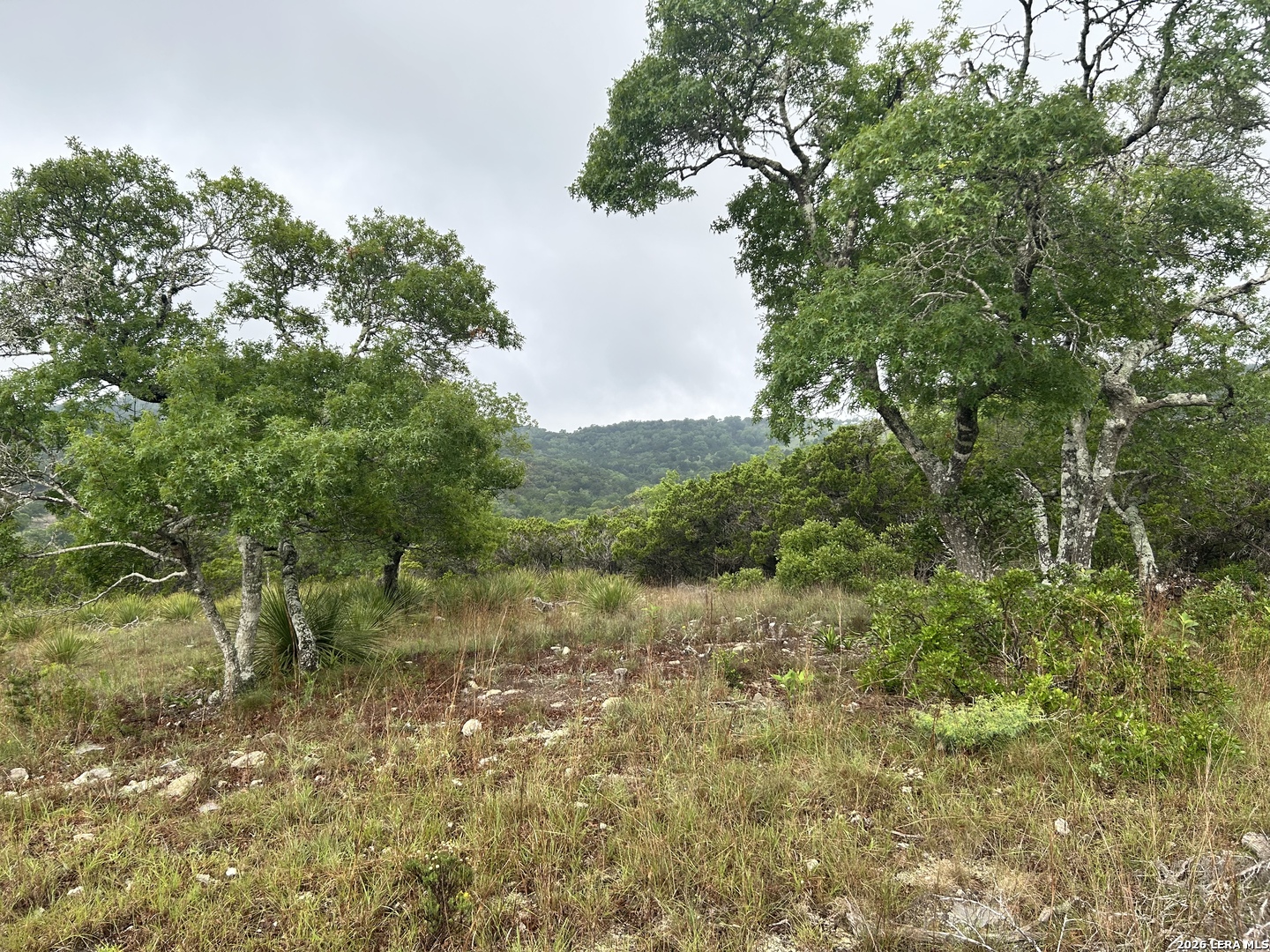 239 Estancia Lane Boerne TX 78006