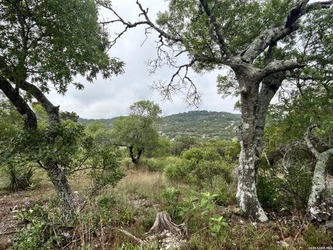 239 Estancia Lane Boerne TX 78006