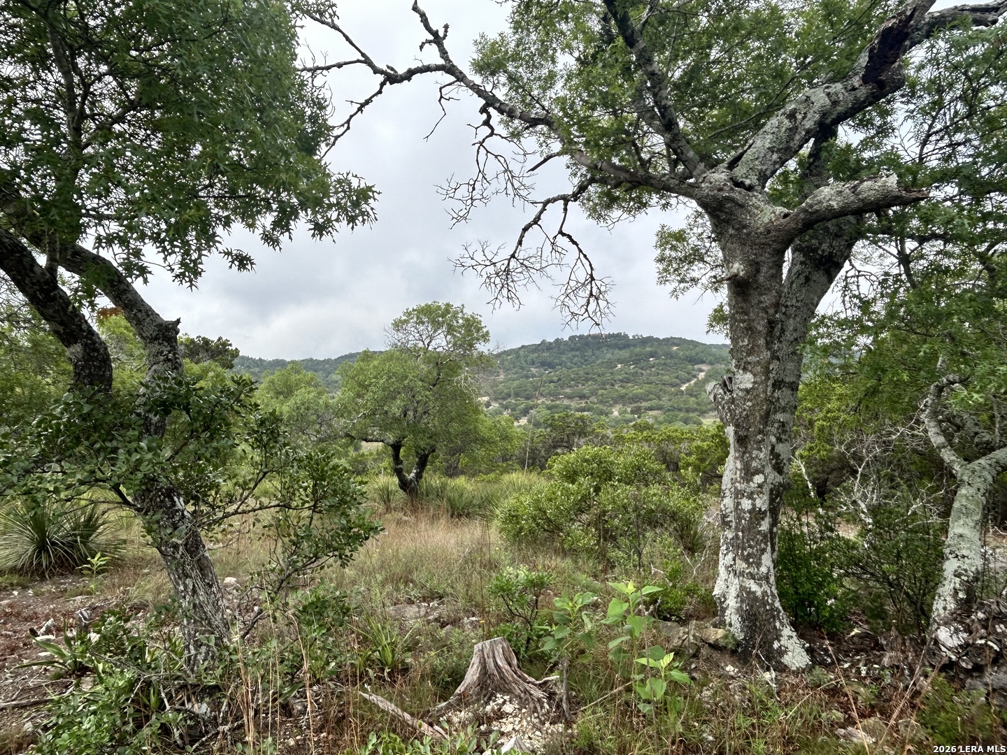 239 Estancia Lane Boerne TX 78006