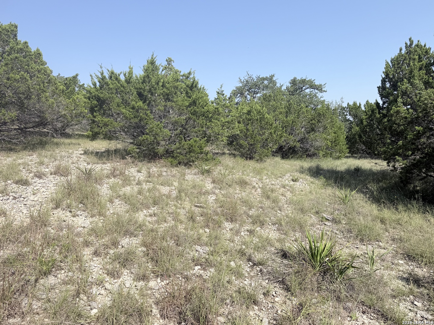 4053 Fire Candle Spring Branch TX 78070