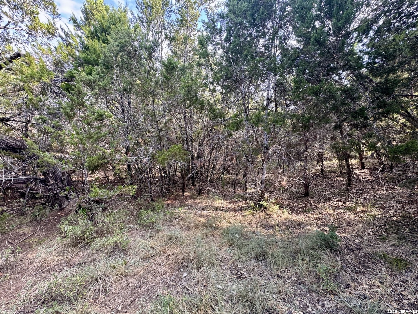 462 W Overlook Drive Canyon Lake TX 78133