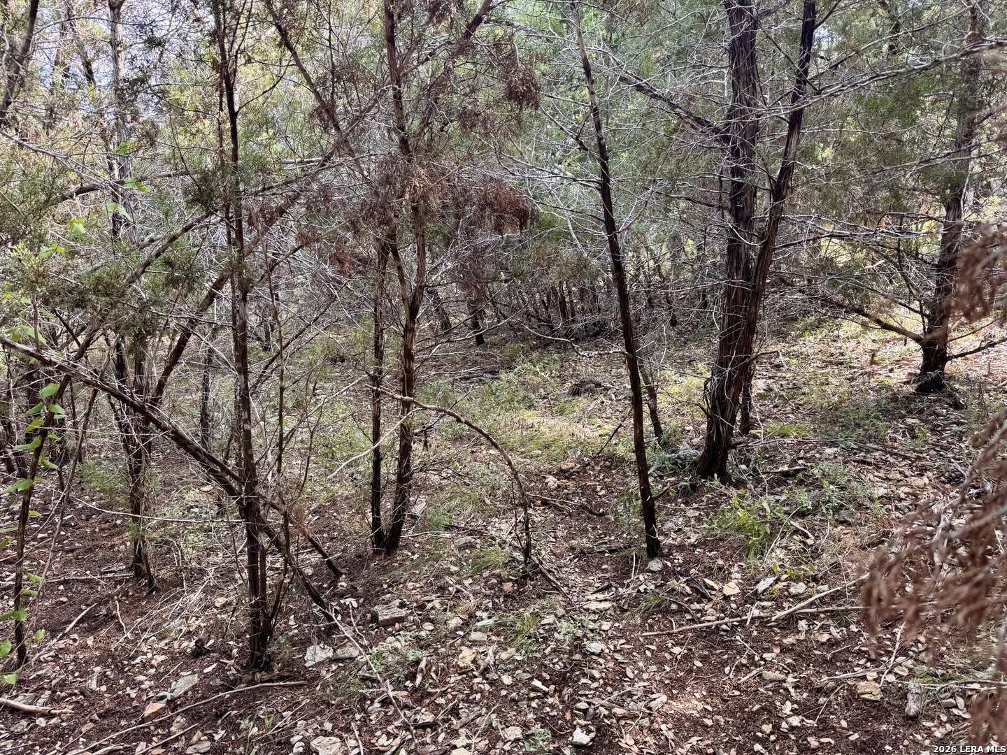 462 W Overlook Drive Canyon Lake TX 78133