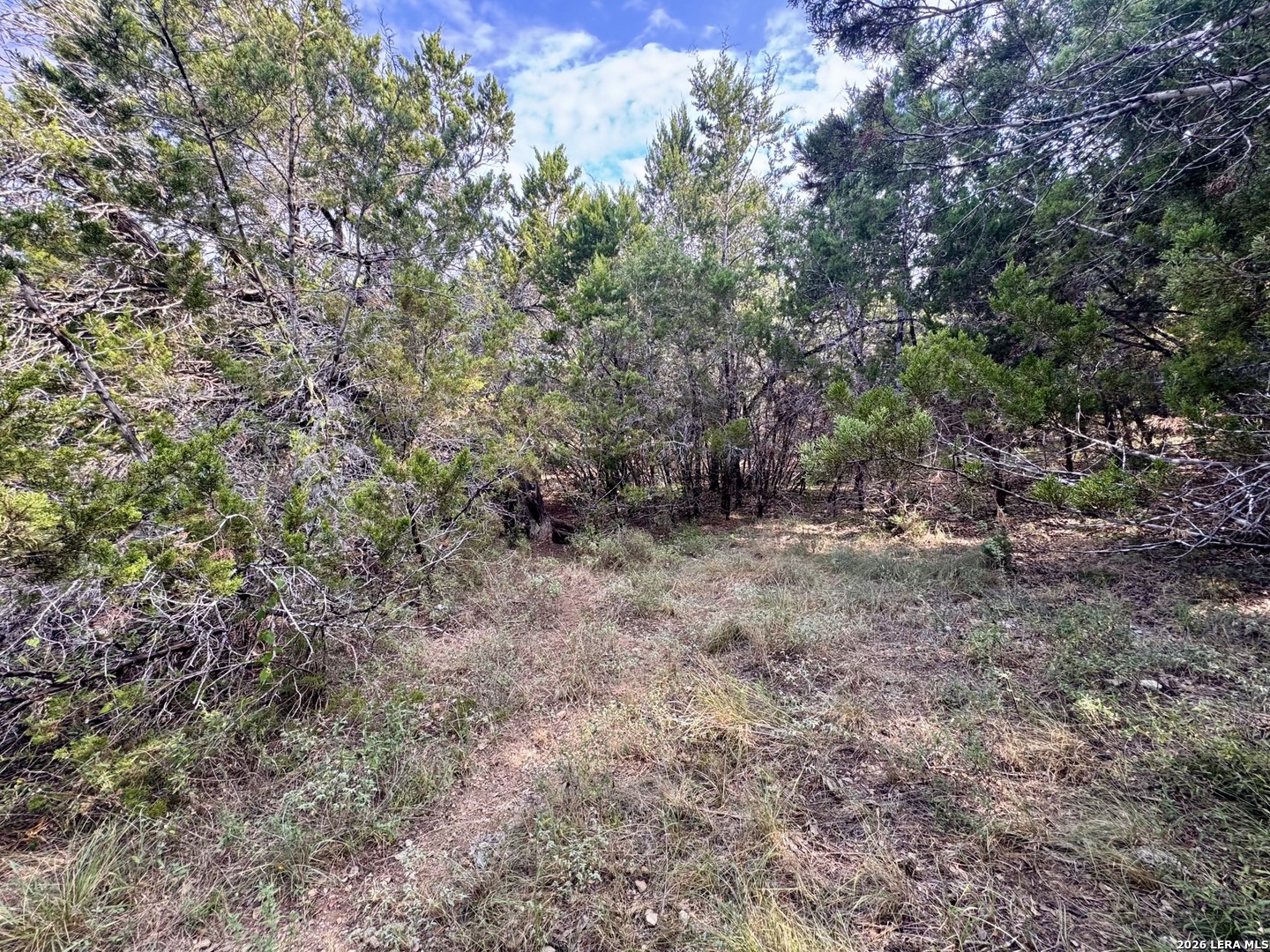 462 W Overlook Drive Canyon Lake TX 78133