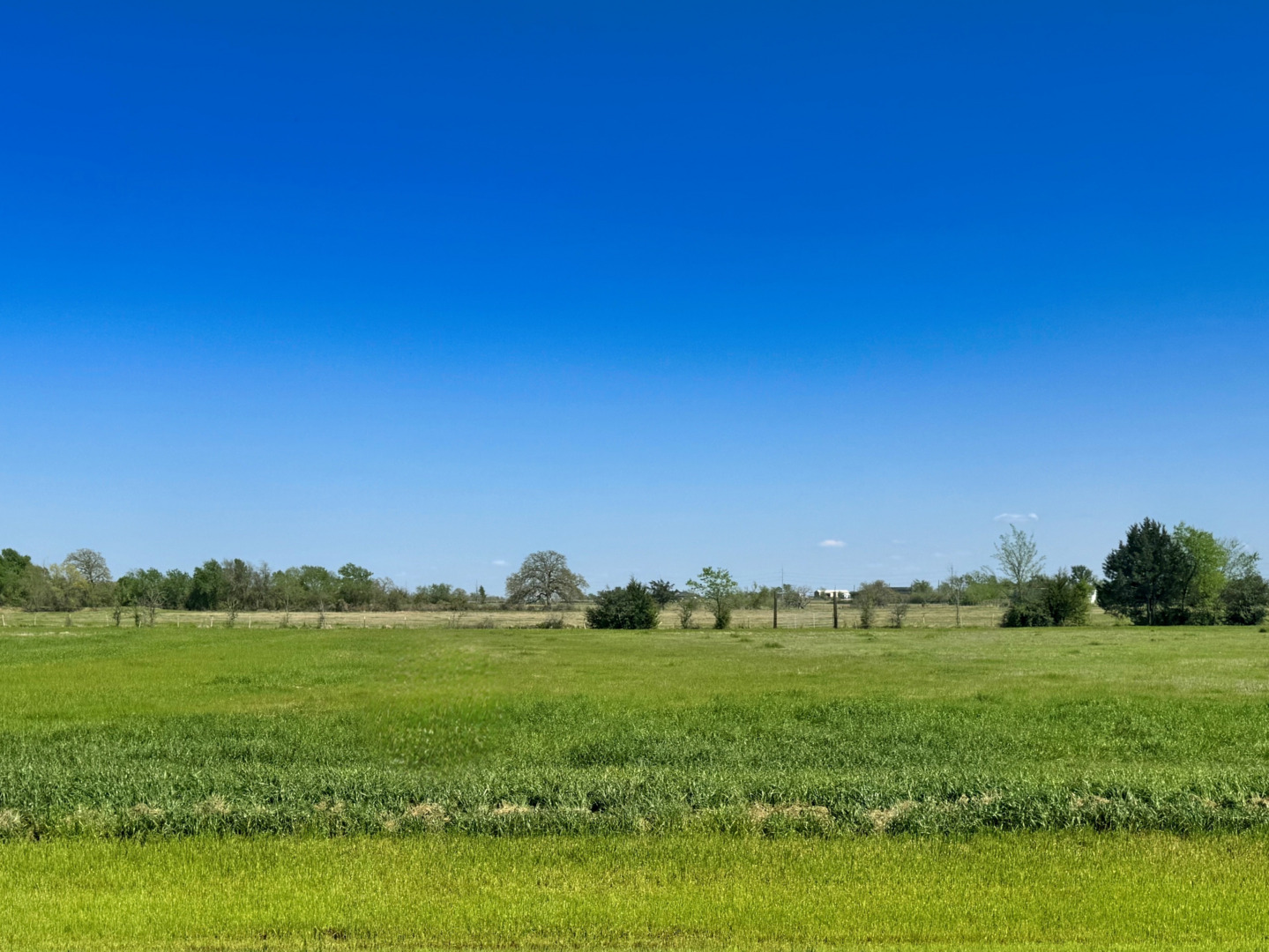9942 Panther Creek Drive Iola TX 77861