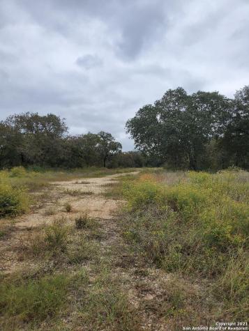 23302 Us Highway 281 S San Antonio TX 78264