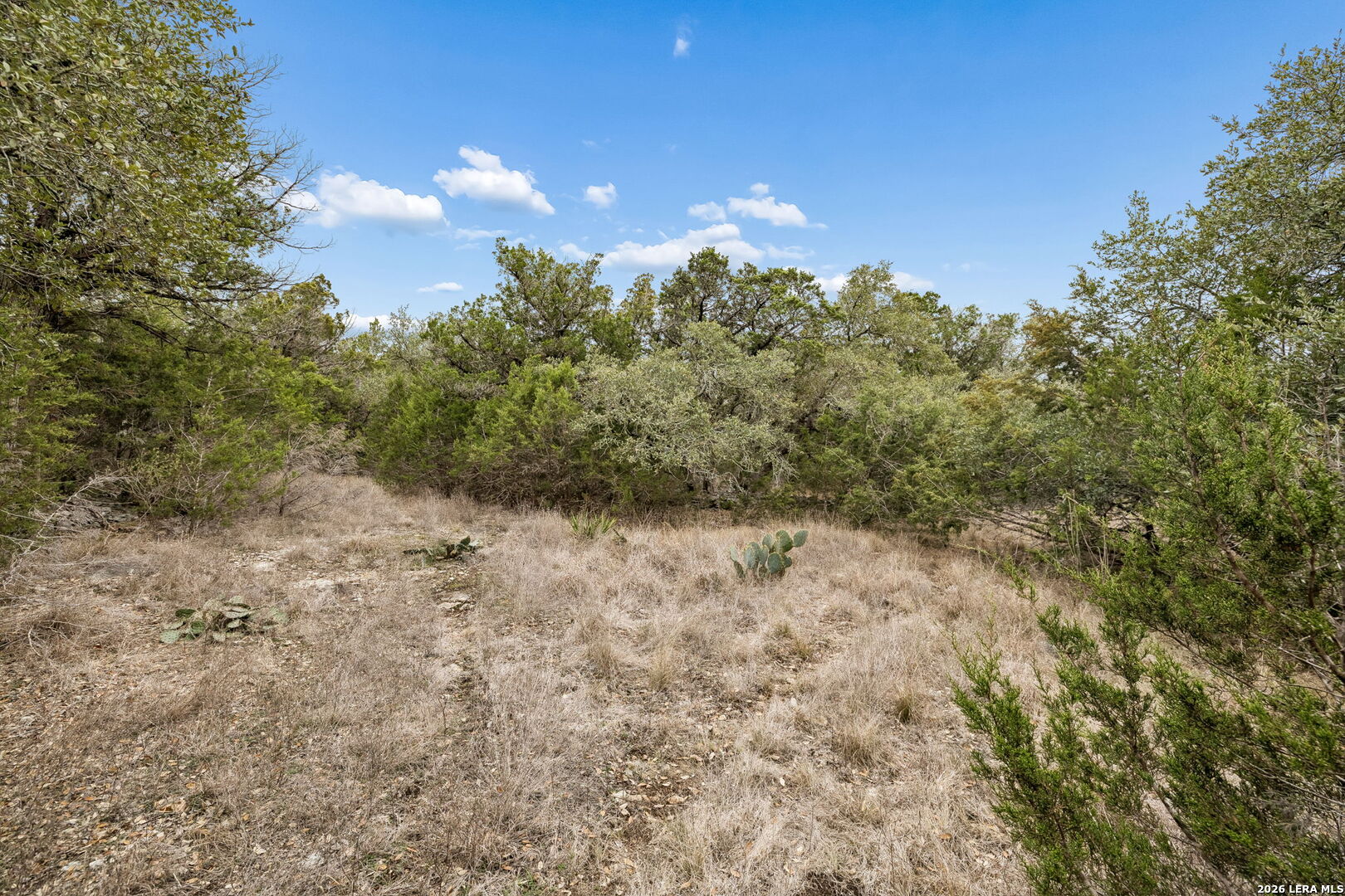 1398 Lazy Forest New Braunfels TX 78132