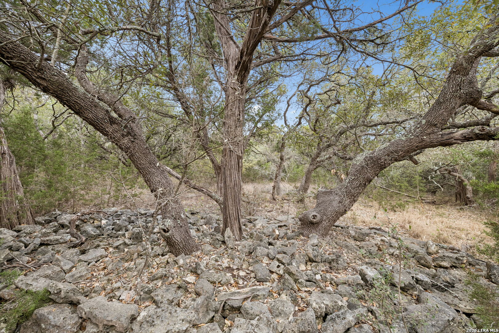 1398 Lazy Forest New Braunfels TX 78132