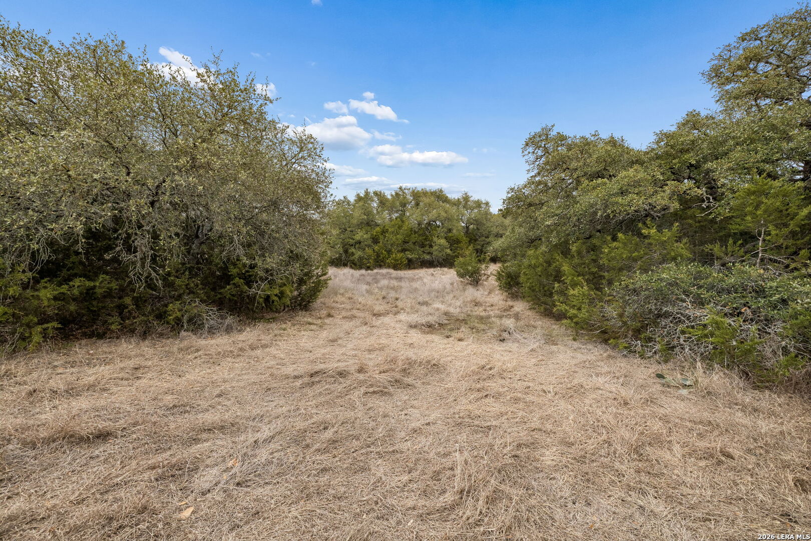 1398 Lazy Forest New Braunfels TX 78132