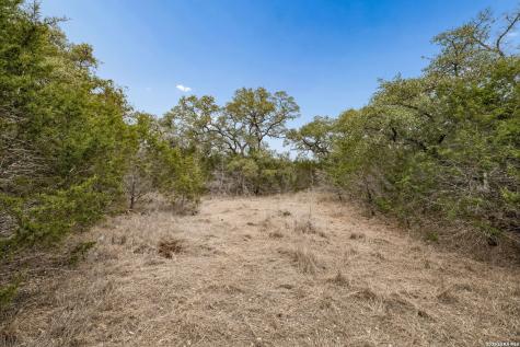 1398 Lazy Forest New Braunfels TX 78132