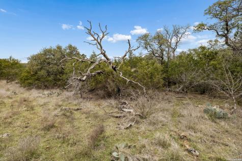 1398 Lazy Forest New Braunfels TX 78132