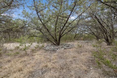 1398 Lazy Forest New Braunfels TX 78132