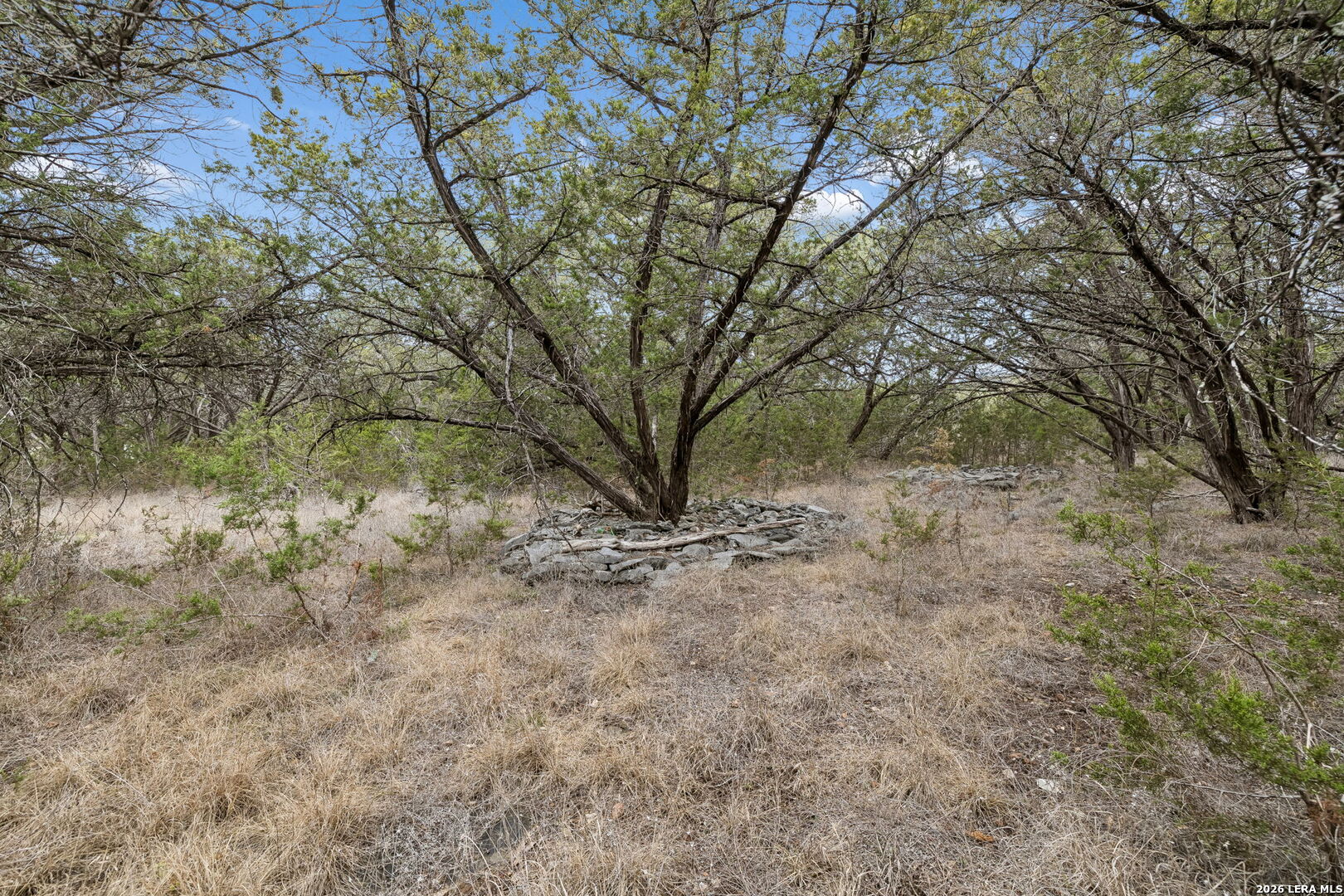 1398 Lazy Forest New Braunfels TX 78132