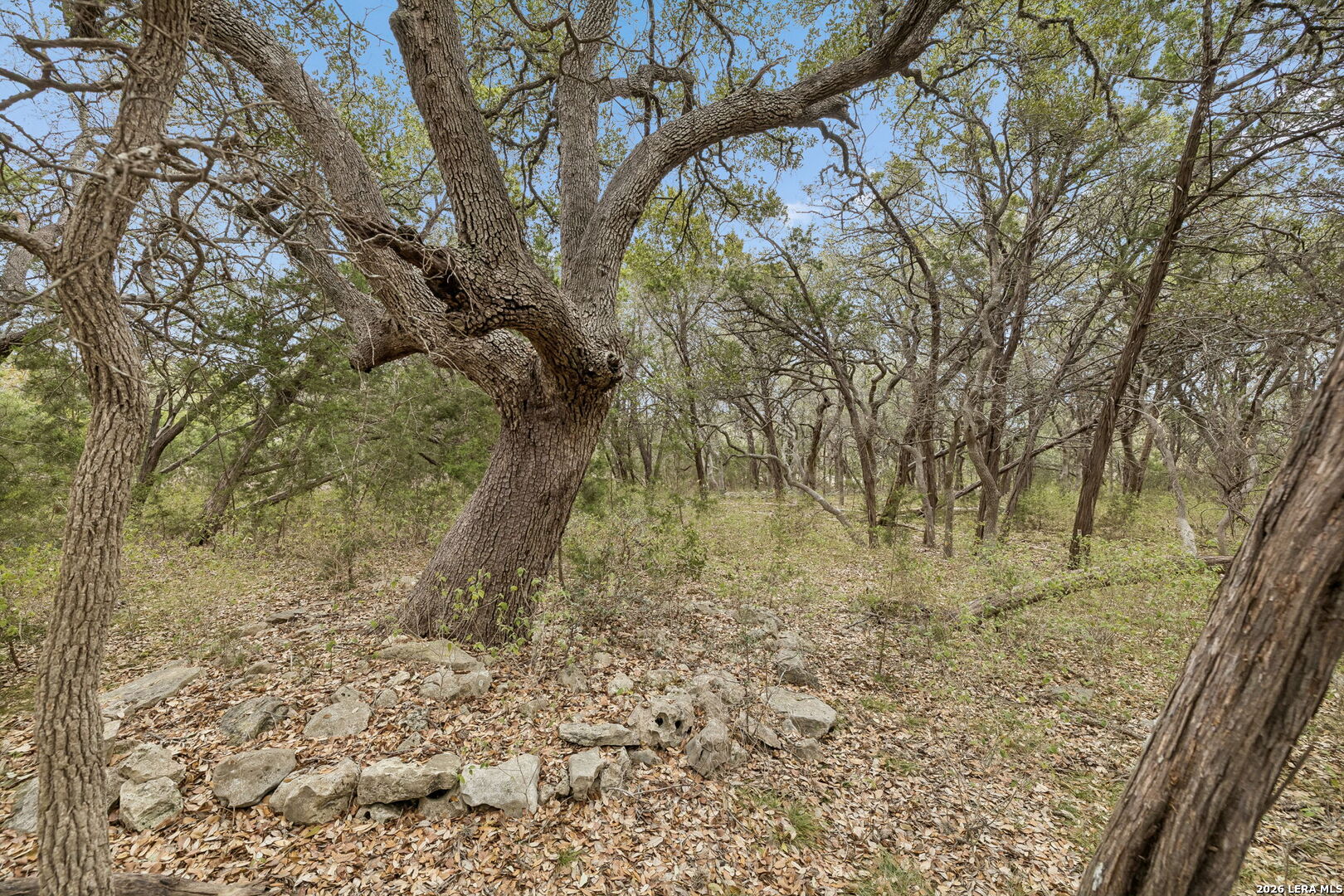1398 Lazy Forest New Braunfels TX 78132