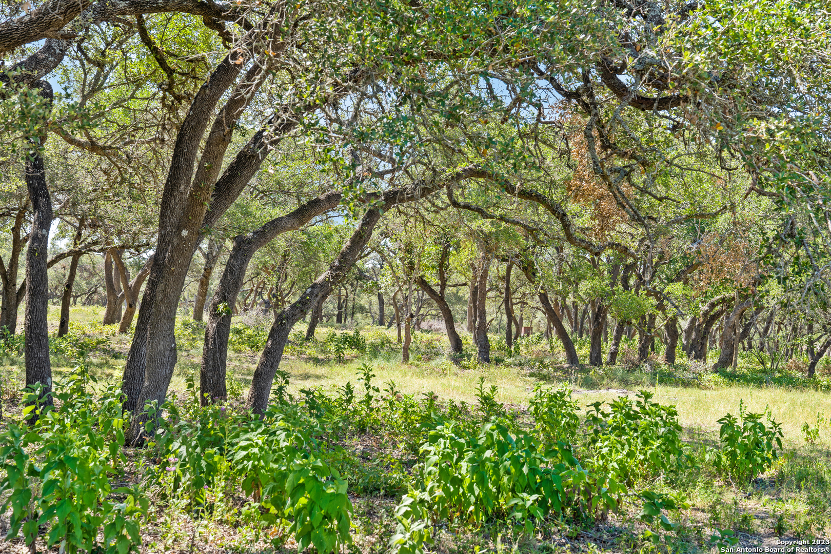 Tract 12 Lewdele Lane Blanco TX 78671