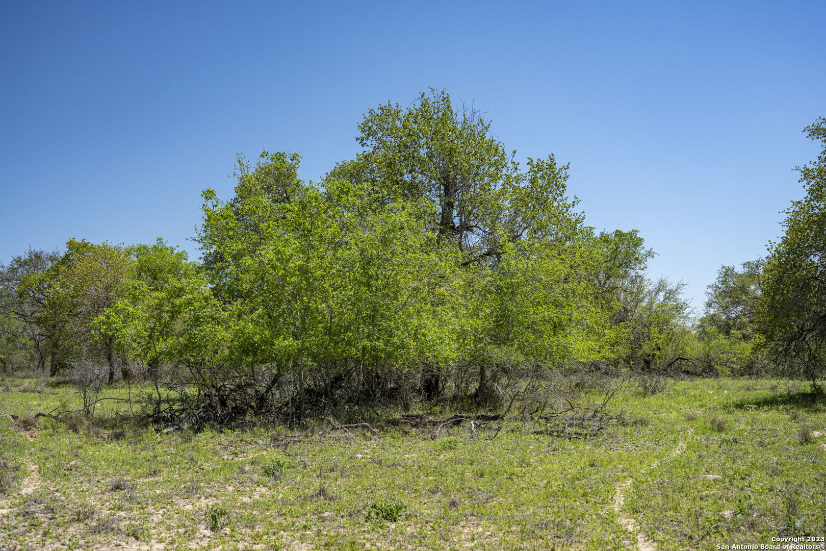 2721 County Road 770 Natalia TX 78059