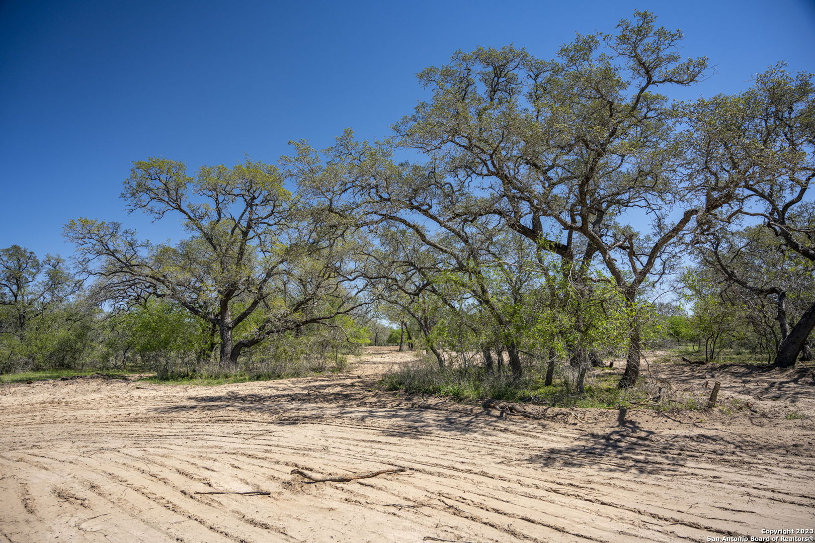2721 County Road 770 Natalia TX 78059