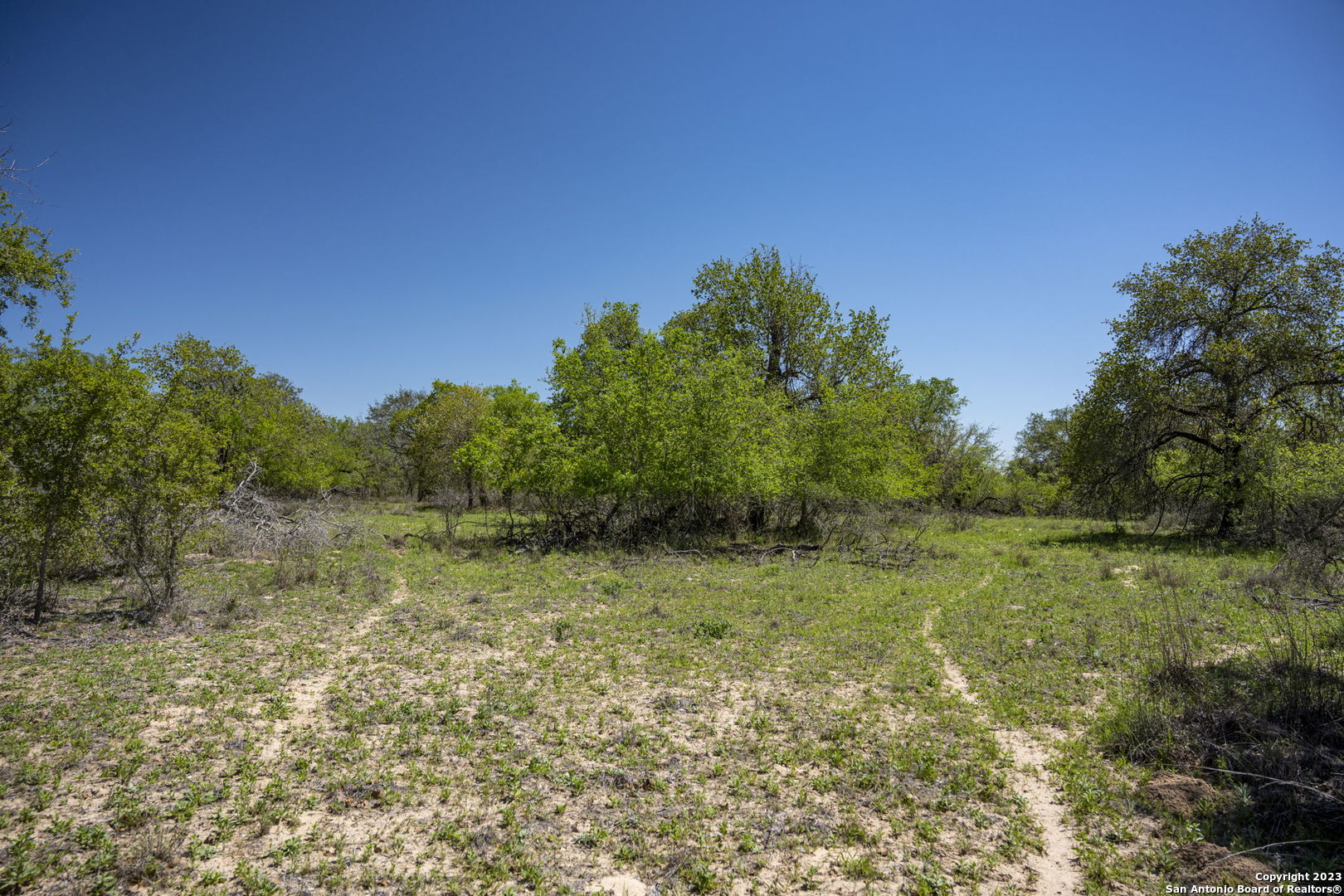 2721 County Road 770 Natalia TX 78059