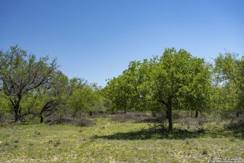 2721 County Road 770 Natalia TX 78059
