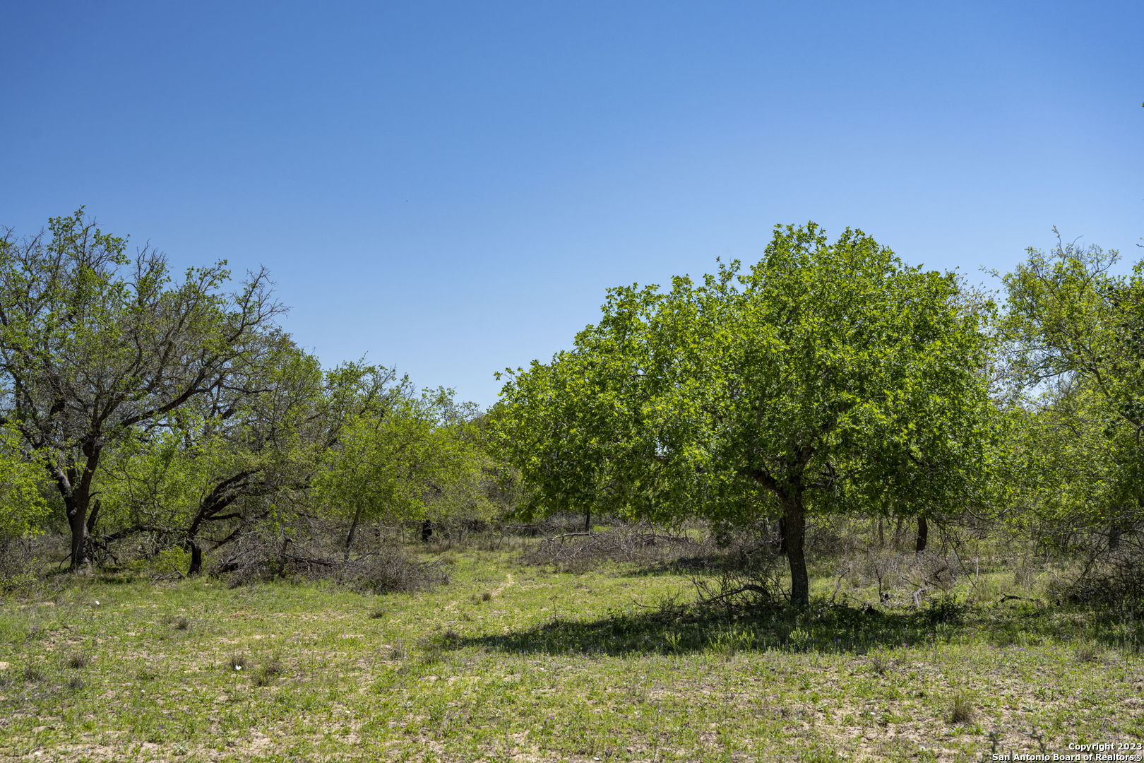 2721 County Road 770 Natalia TX 78059
