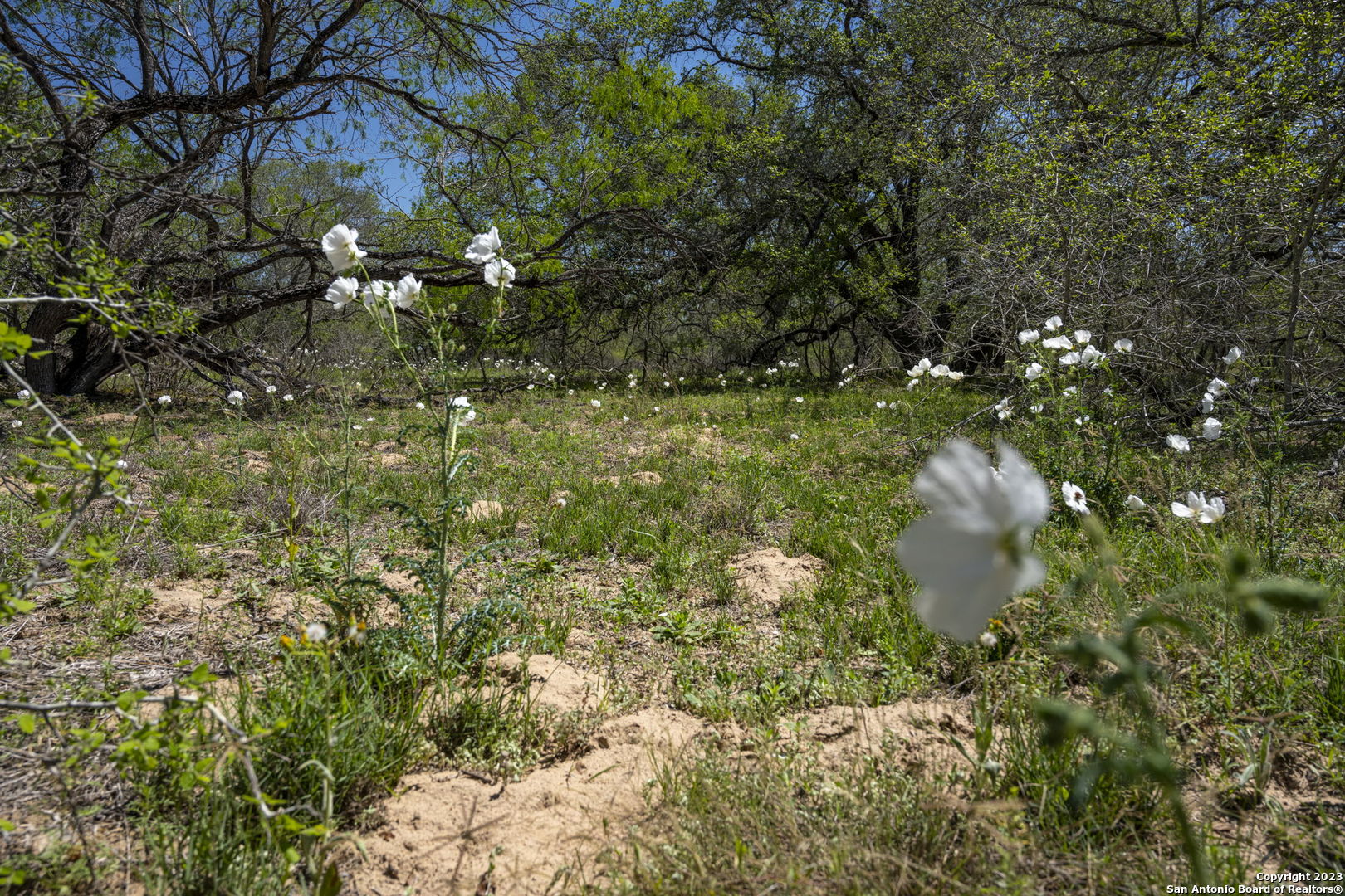 2721 County Road 770 Natalia TX 78059