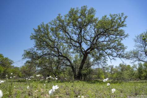2721 County Road 770 Natalia TX 78059