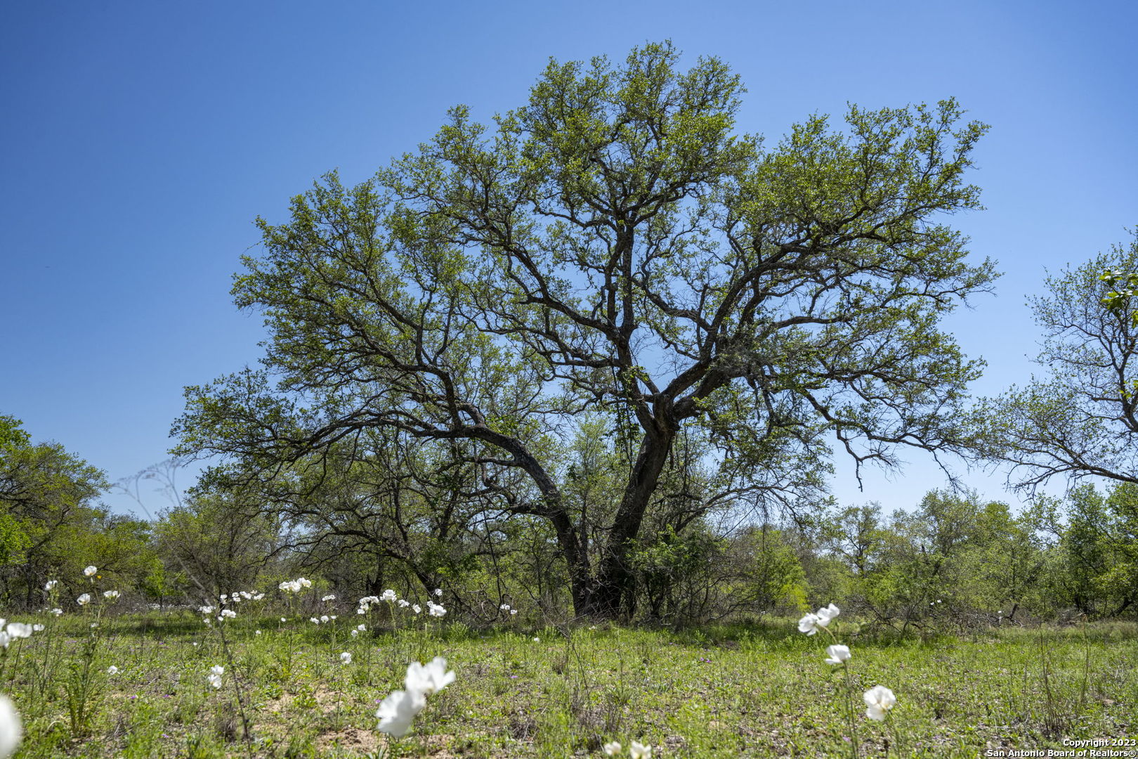 2721 County Road 770 Natalia TX 78059