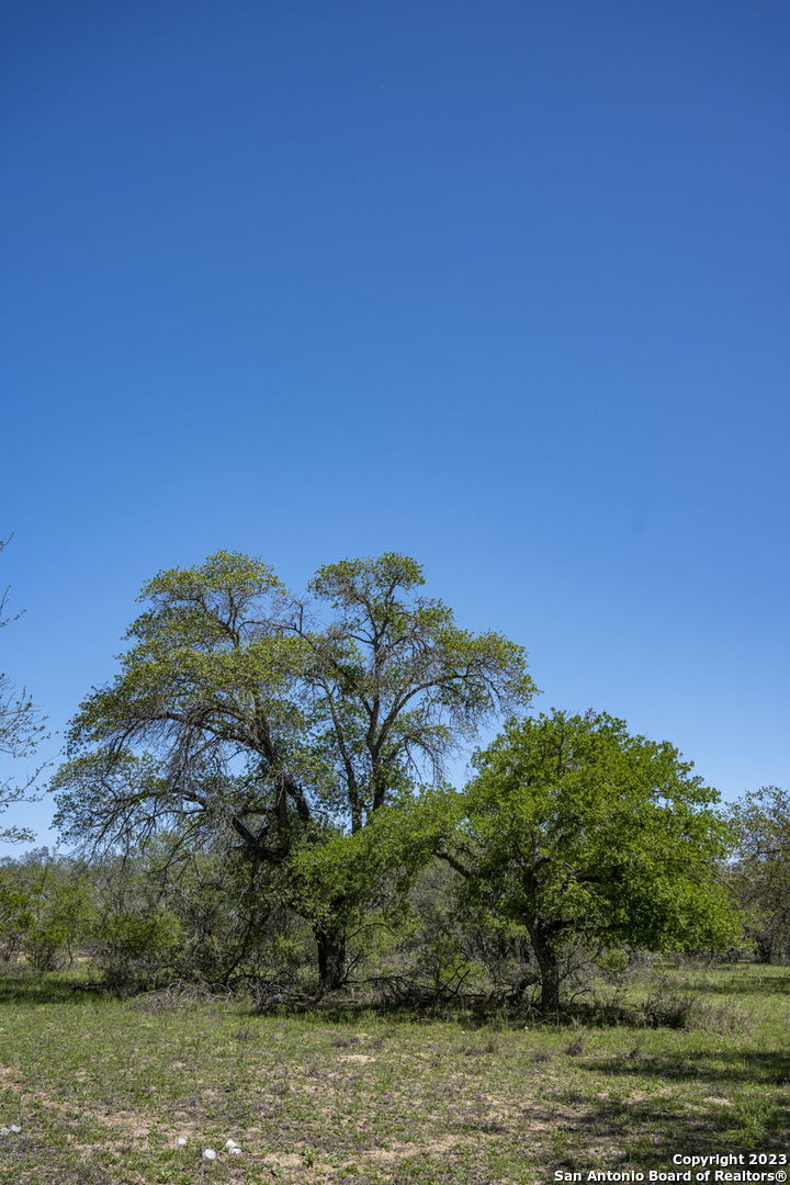2721 County Road 770 Natalia TX 78059
