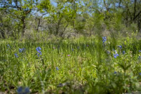 2721 County Road 770 Natalia TX 78059