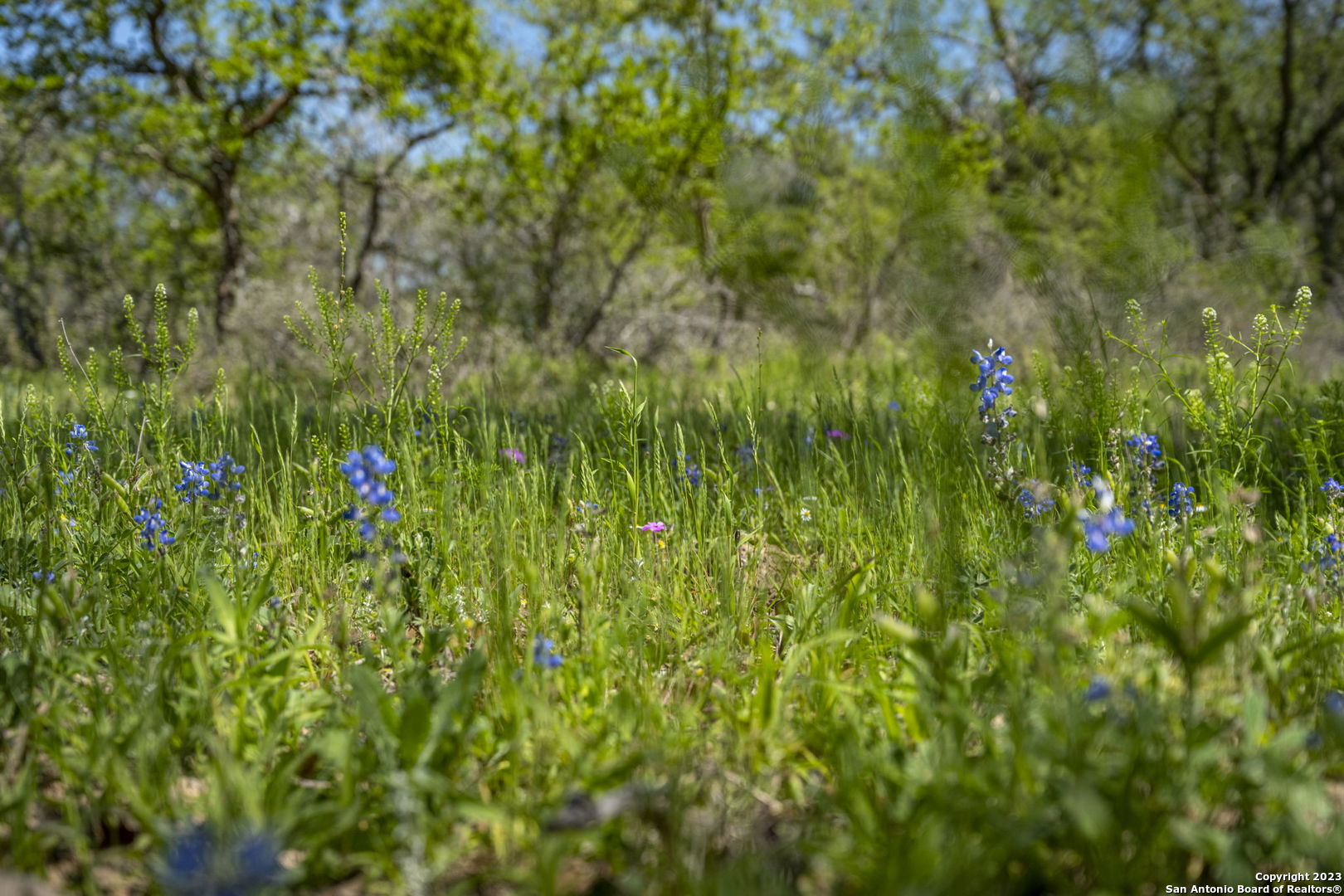 2721 County Road 770 Natalia TX 78059