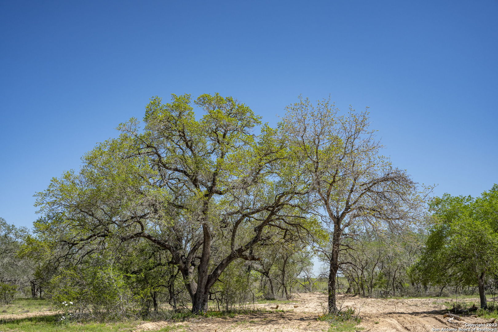 2721 County Road 770 Natalia TX 78059