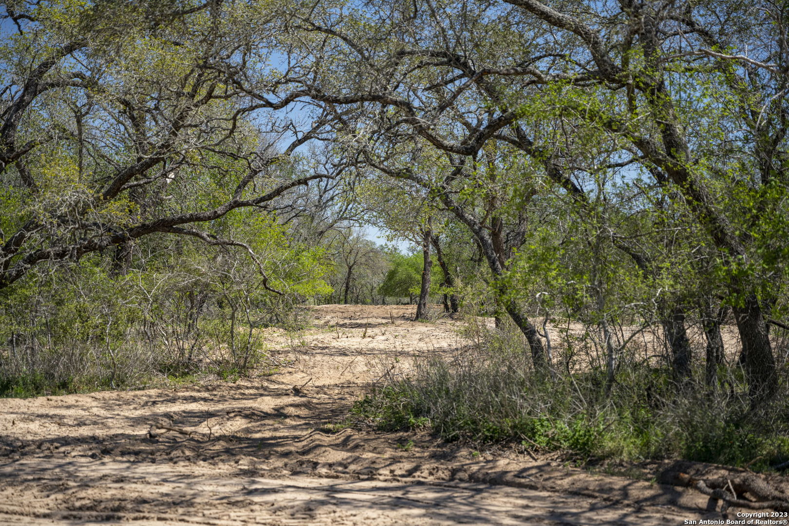 2721 County Road 770 Natalia TX 78059