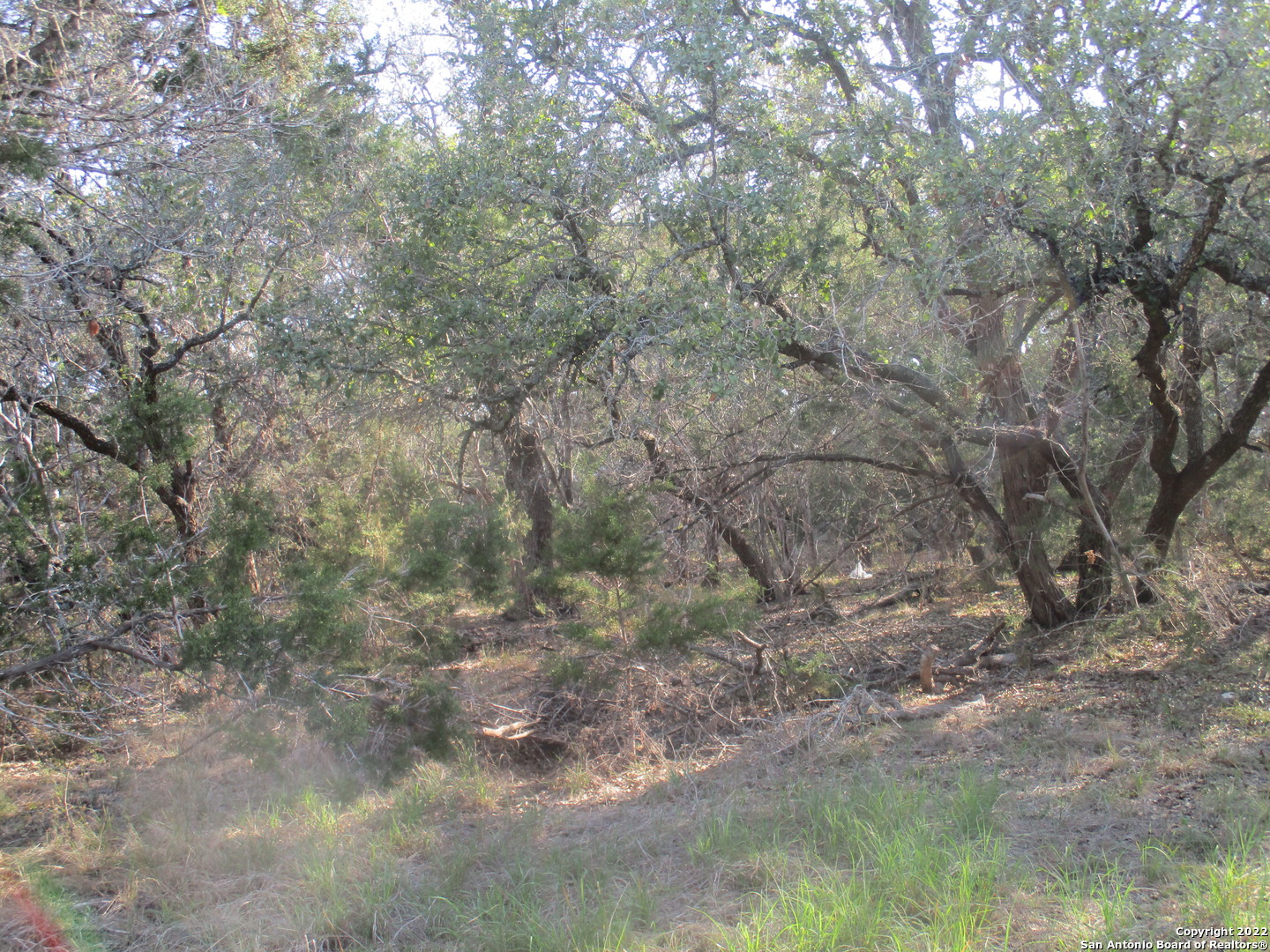 34750 Shelly Bridge Point Bulverde TX 78163