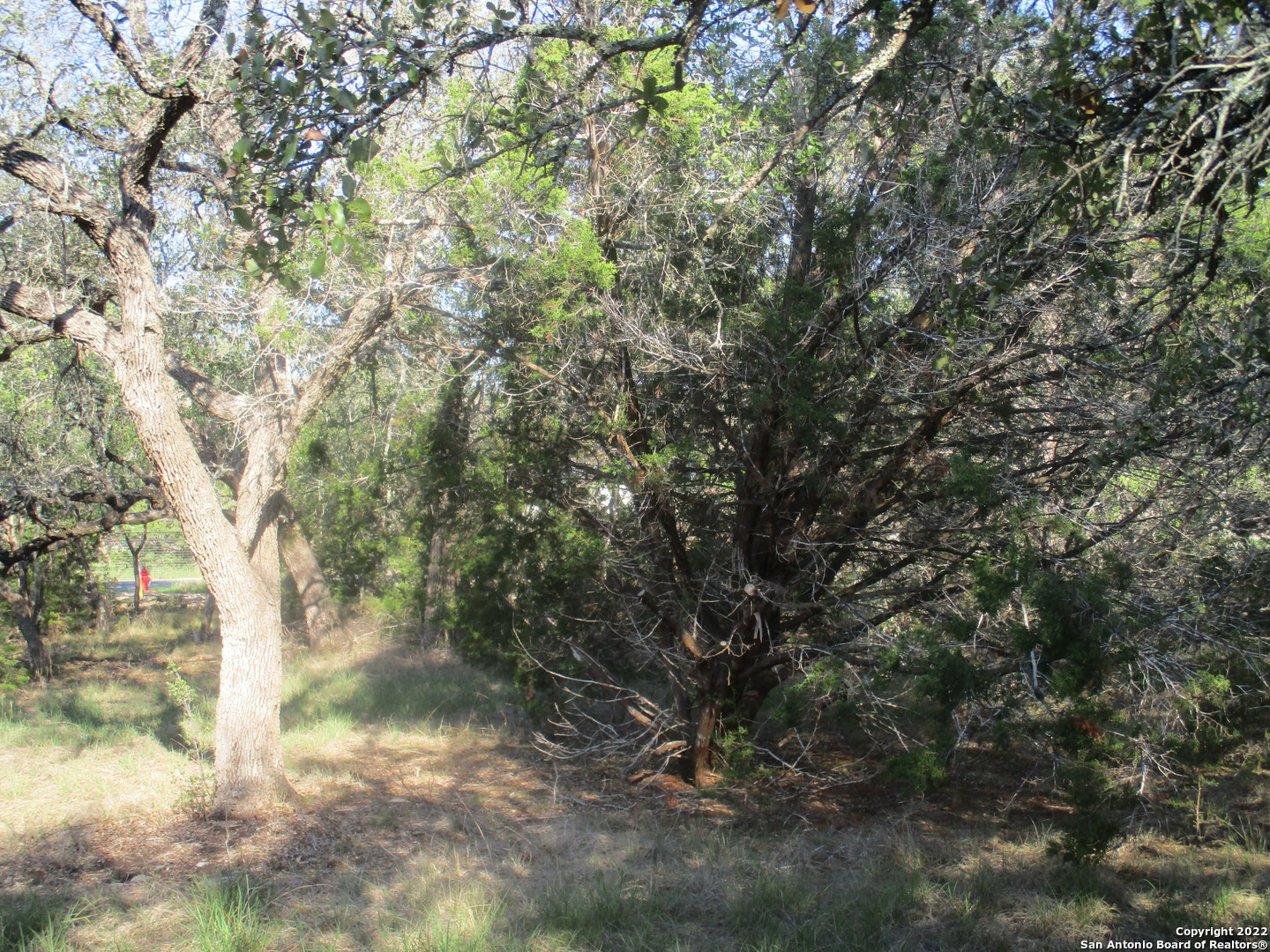 34750 Shelly Bridge Point Bulverde TX 78163
