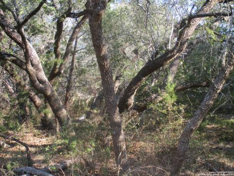 34750 Shelly Bridge Point Bulverde TX 78163