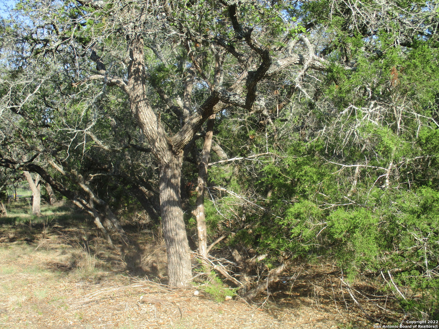 34750 Shelly Bridge Point Bulverde TX 78163