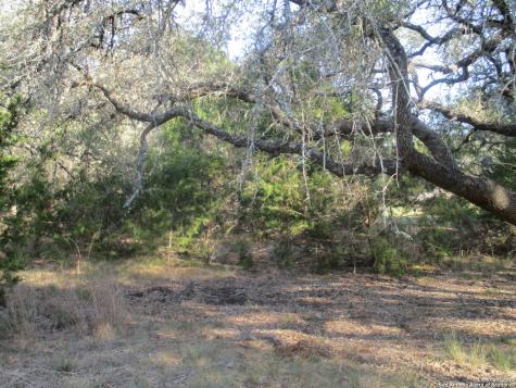 34750 Shelly Bridge Point Bulverde TX 78163