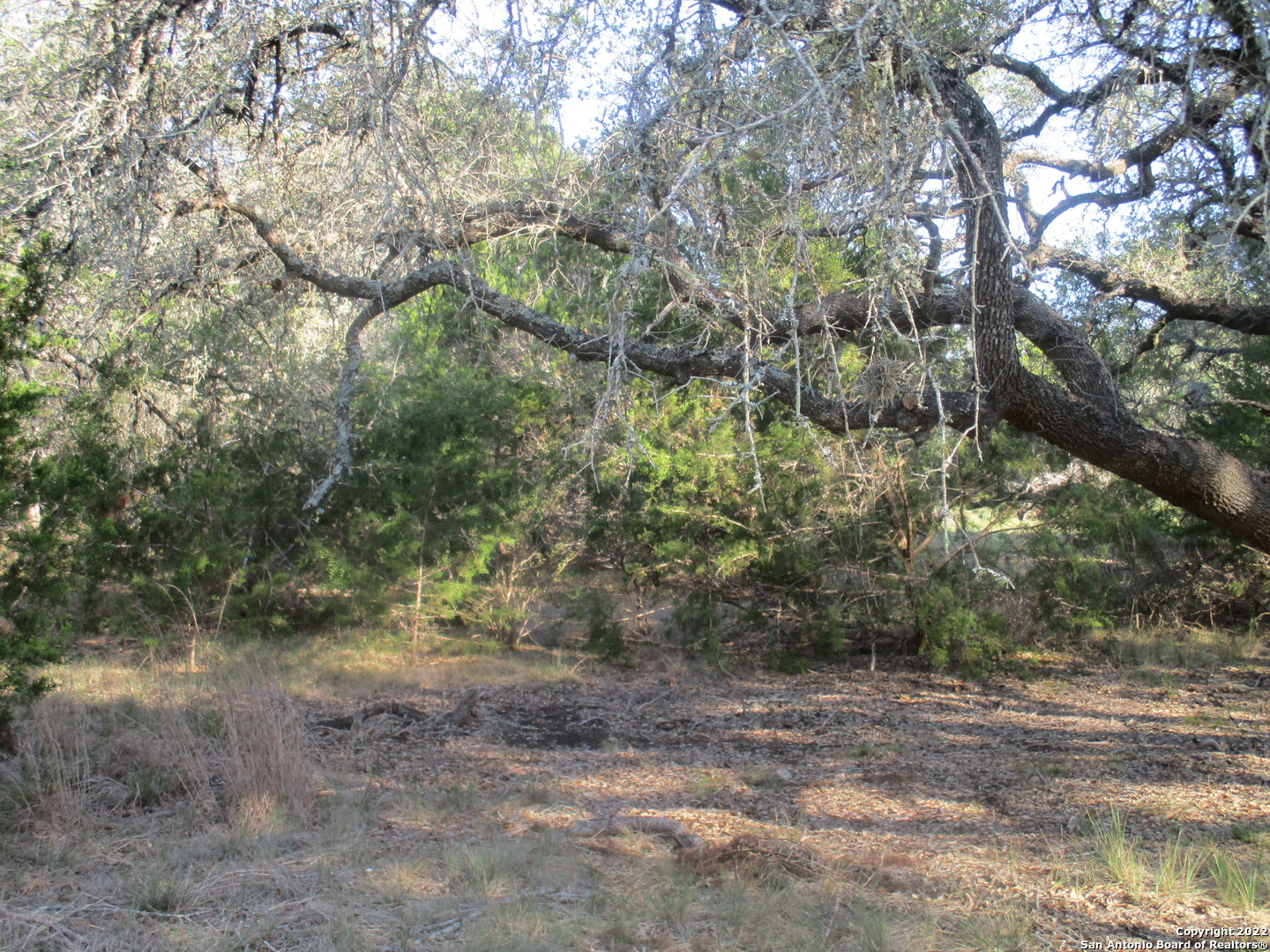 34750 Shelly Bridge Point Bulverde TX 78163