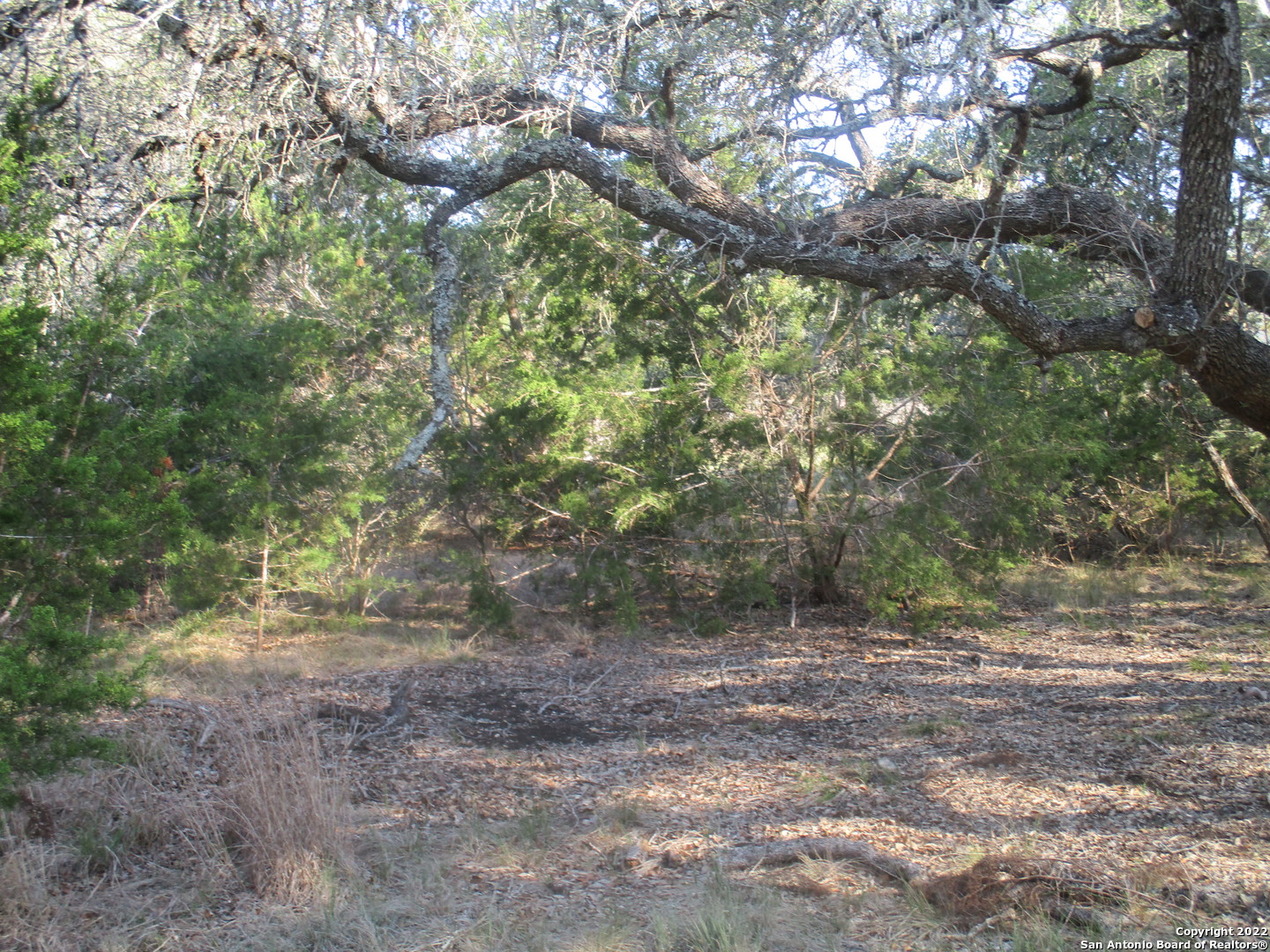 34750 Shelly Bridge Point Bulverde TX 78163