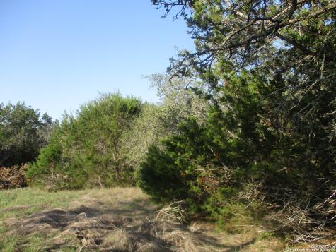 34750 Shelly Bridge Point Bulverde TX 78163