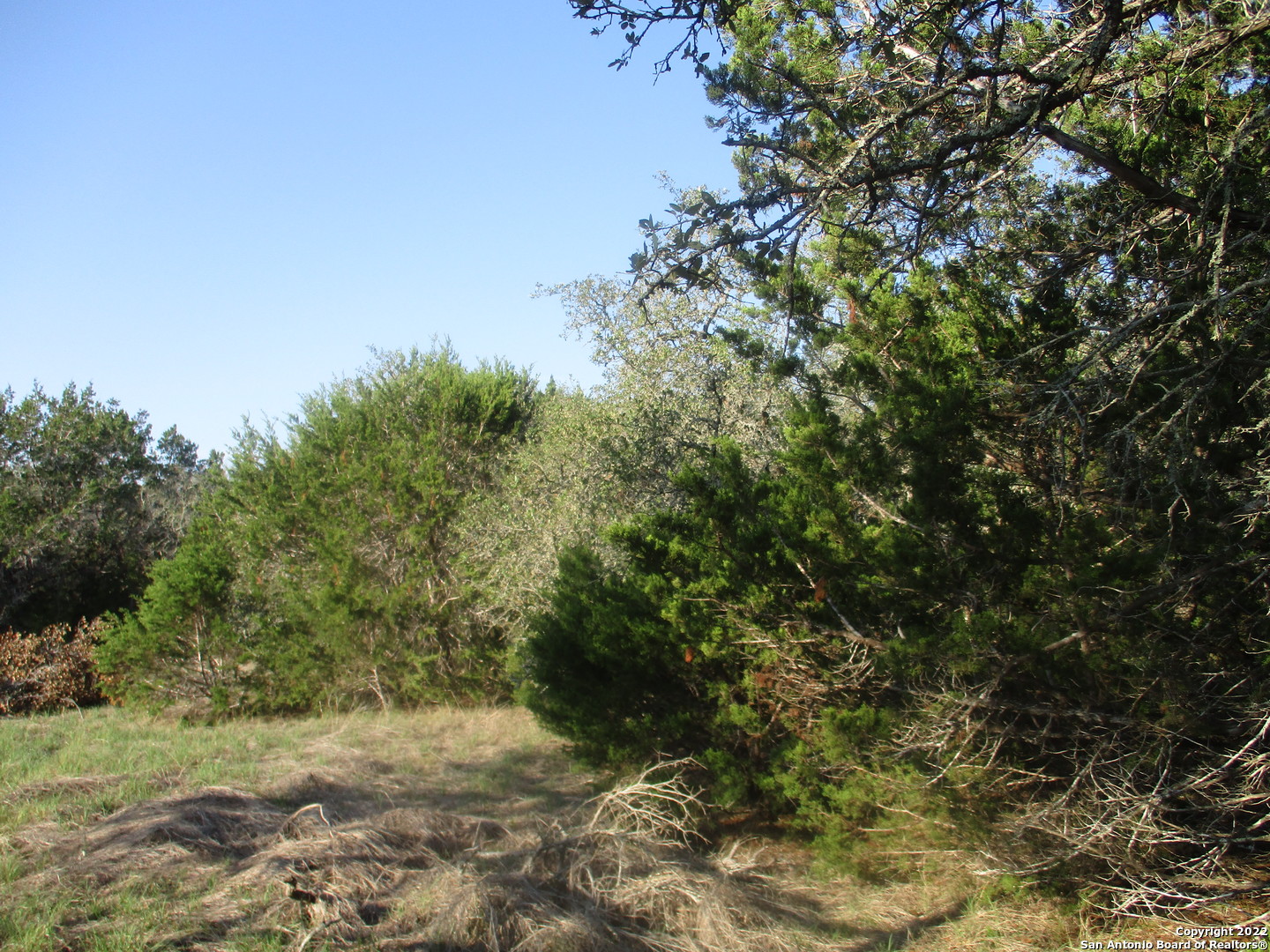34750 Shelly Bridge Point Bulverde TX 78163