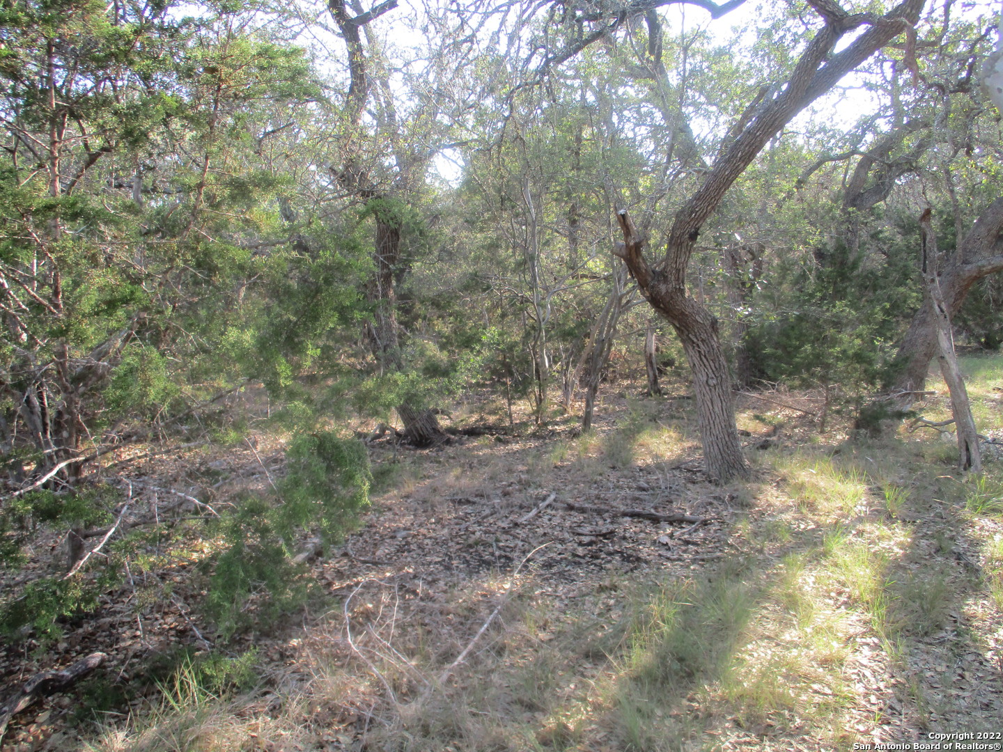 34750 Shelly Bridge Point Bulverde TX 78163