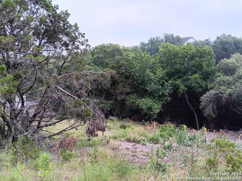421 Lexington Pass Canyon Lake TX 78133