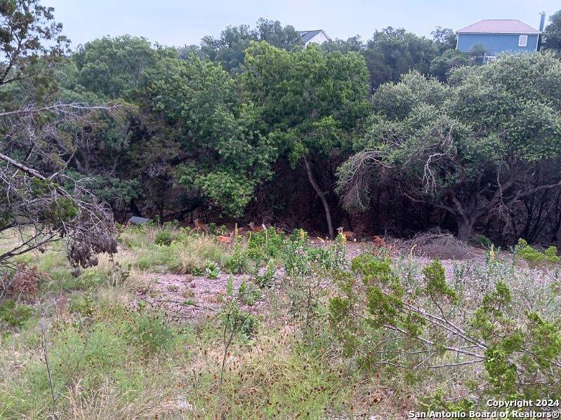 421 Lexington Pass Canyon Lake TX 78133