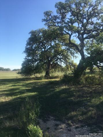 Lot 592 & 593 Bridle Chase Bandera TX 78003