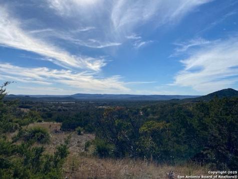 106 Walden Ridge Tarpley TX 78883