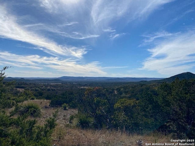 106 Walden Ridge Tarpley TX 78883