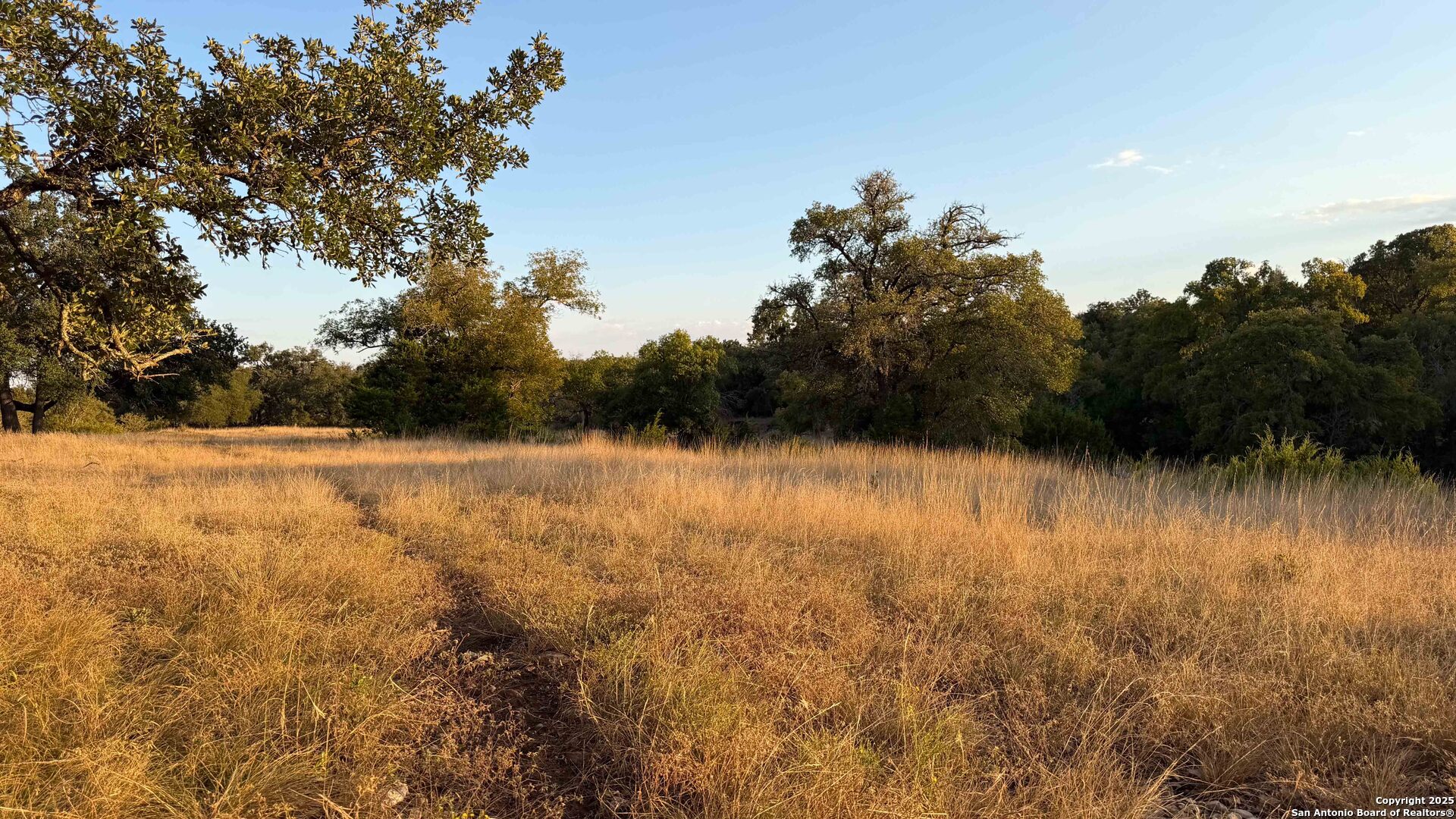 21789 Fm 2093 Harper TX 78631